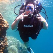  ,   , 55 ,   ,   , c , 