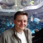  ,   , 53 ,   , 