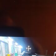  ,   Edgar, 37 ,   ,   