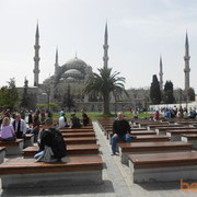 ���������� ������, ���� ������� Basil, 63 ����, ������������ ��� ������, ����� � ���������, c�������� ���������