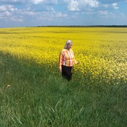  ,   , 75 ,  