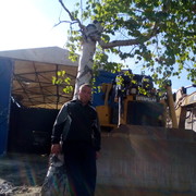 ���������� ���������, ���� ������� ������, 46 ���, ������������ ��� ������