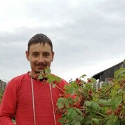 ���������� �����, ���� ������� �����, 31 ���, ������������ ��� ������, c�������� ���������, ���������