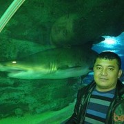  ,   Jild, 46 ,  