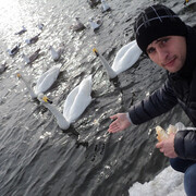 ���������� ����-���������, ���� ������� �����, 34 ����, ������������ ��� ������, ����� � ���������, c�������� ���������