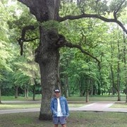 ���������� �����������, ���� ������� ����, 44 ����, ������������ ��� ������, ����� � ���������, c�������� ���������