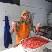 ���������� �������, ���� ������� ����, 33 ����, ������������ ��� ������, ����� � ���������, c�������� ���������, ���������