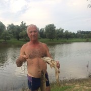 ���������� ���������, ���� ������� ��������, 65 ���, ������������ ��� ������, ����� � ���������, c�������� ���������