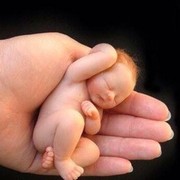 ���������� ��������, ���� ������� Terry, 46 ���, ������������ ��� ����� � ���������, c�������� ���������