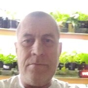 ���������� ��������, ���� ������� �����, 56 ���, ������������ ��� ������, ����� � ���������