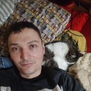  ,   , 40 ,   ,   