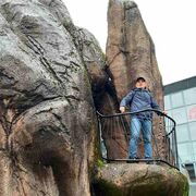 ���������� ����, ������� ���������, 58