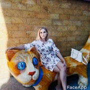  ,   , 44 ,   ,   