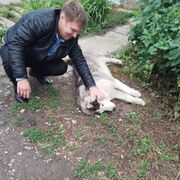 ���������� ���������, ���� ������� �������, 38 ���, ������������ ��� ������, ����� � ���������, c�������� ���������, ���������