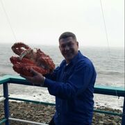  ,   , 51 ,  