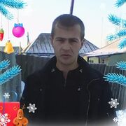  ,   Arten, 39 ,   ,   , c 