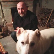  ,   Selkaio, 50 ,   