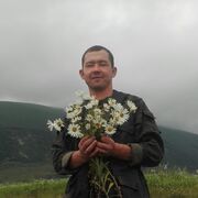 ���������� ������, ������� Everylaif, 40