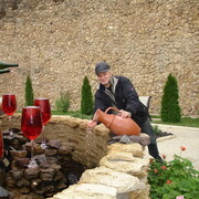 ���������� �������, ���� ������� Vikont, 60 ���, ������������ ��� ������, ����� � ���������, c�������� ���������