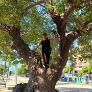  Vilanova i la Geltru,   , 40 ,   