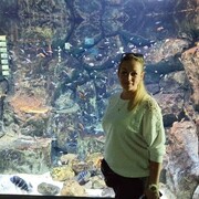 ���������� ������, ���� ������� ���, 40 ���, ������������ ��� ������, ����� � ���������