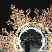 ���������� ������, ���� ������� �����, 41 ���, ������������ ��� ����� � ���������