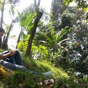  ,   Odil, 34 ,   ,   , c 