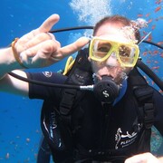 ���������� �������������-����������, ���� ������� ���������, 44 ����, ������������ ��� c�������� ���������