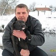 ���������� ������, ���� ������� Nikola, 48 ���, ������������ 