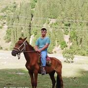 ���������� ������, ���� ������� �����, 29 ���, ������������ ��� ������, ����� � ���������, c�������� ���������, ���������