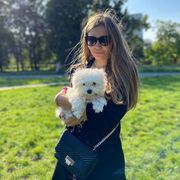 ���������� ������, ���� ������� ��������, 26 ���, ������������ ��� c�������� ���������