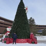 ���������� �����������, ���� ������� ��������, 46 ���, ������������ ��� ������, ����� � ���������, c�������� ���������