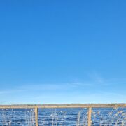 ���������� �����-���������, ���� ������� �������, 37 ���, ������������ ��� ������, ����� � ���������