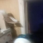  ,     , 24 ,   