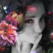  ,   , 33 ,   