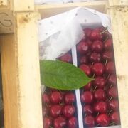 ���������� ���������, ���� ������� AZAMAT, 43 ����, ������������ ��� ������, ����� � ���������