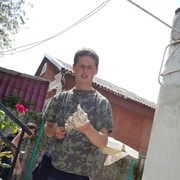 ���������� �����������, ���� ������� �������, 29 ���, ������������ ��� ����� � ���������, c�������� ���������