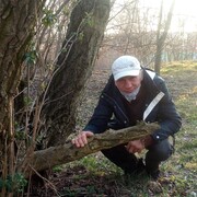  Bensheim,   Andrzej, 50 ,   ,   , c 