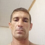  --,   , 41 ,   ,   