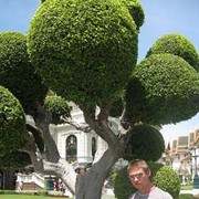   ,   , 50 ,   , 
