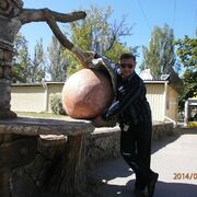 ���������� ��������, ���� ������� ����, 50 ���, ������������ ��� ����� � ���������