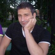 ���������� ������, ���� ������� Dimon, 40 ���, ������������ ��� ������, ����� � ���������, c�������� ���������