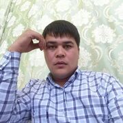 ���������� ������, ���� ������� ���������, 38 ���, ������������ ��� ������, ����� � ���������