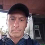  ,   German, 46 ,   ,   