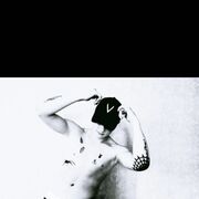 ���������� ���������, ���� ����� ���������, 24 ����, ������������ ��� ������, ����� � ���������