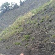 ���������� ������, ���� ������� �������, 42 ����, ������������ ��� ������, ����� � ���������, c�������� ���������, ���������