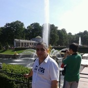  ,   Zoro , 50 ,   ,   , c 