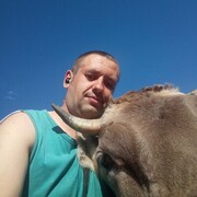 ���������� ������, ���� ������� ��������, 31 ���, ������������ ��� ������, ����� � ���������, c�������� ���������, ���������