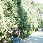  ,   Evro, 46 ,   ,   