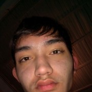  ,  TEMUR, 33